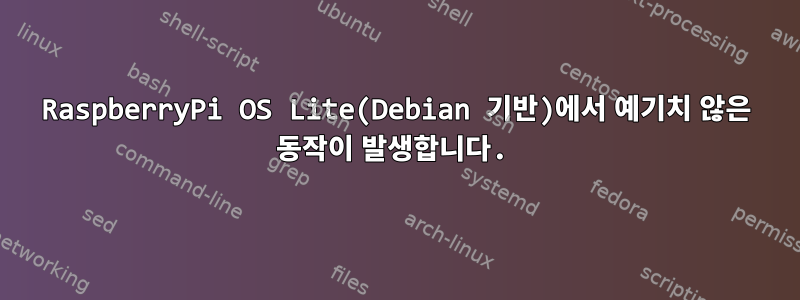 RaspberryPi OS Lite(Debian 기반)에서 예기치 않은 동작이 발생합니다.