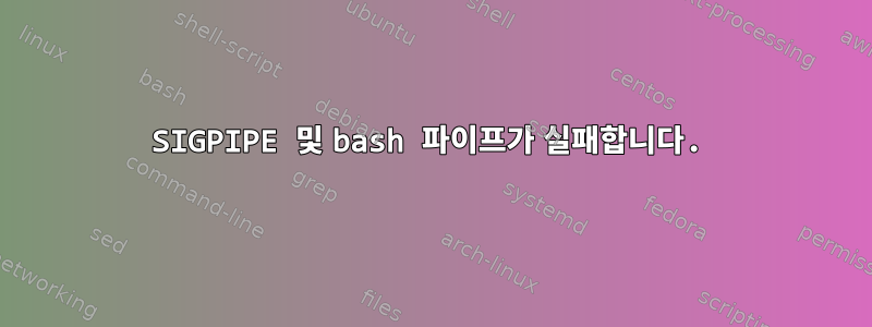 SIGPIPE 및 bash 파이프가 실패합니다.