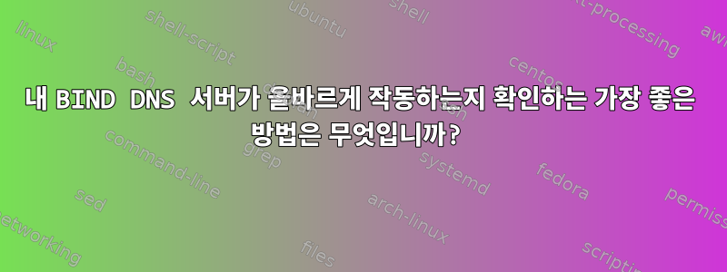 내 BIND DNS 서버가 올바르게 작동하는지 확인하는 가장 좋은 방법은 무엇입니까?