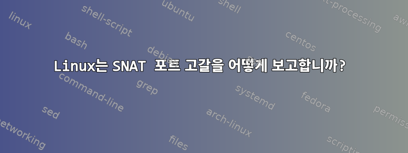 Linux는 SNAT 포트 고갈을 어떻게 보고합니까?