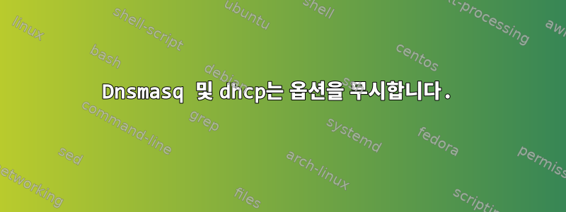 Dnsmasq 및 dhcp는 옵션을 무시합니다.