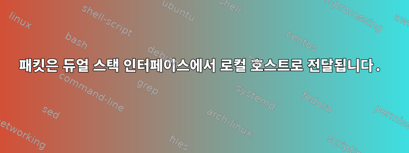 패킷은 듀얼 스택 인터페이스에서 로컬 호스트로 전달됩니다.