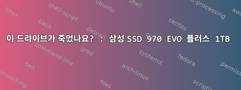 이 드라이브가 죽었나요? : 삼성 SSD 970 EVO 플러스 1TB