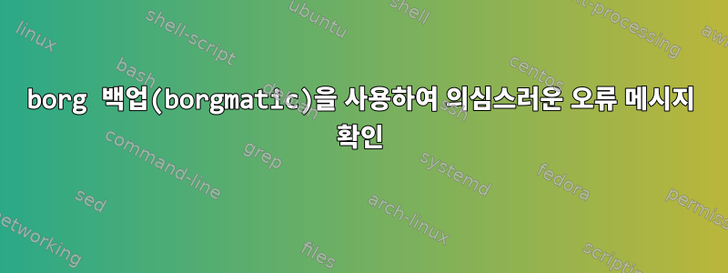 borg 백업(borgmatic)을 사용하여 의심스러운 오류 메시지 확인