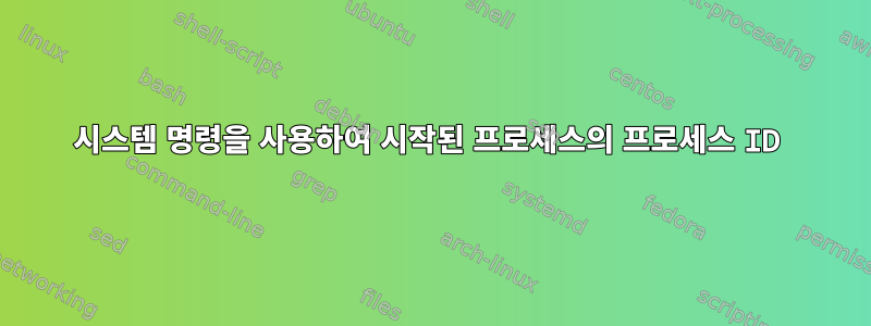 시스템 명령을 사용하여 시작된 프로세스의 프로세스 ID