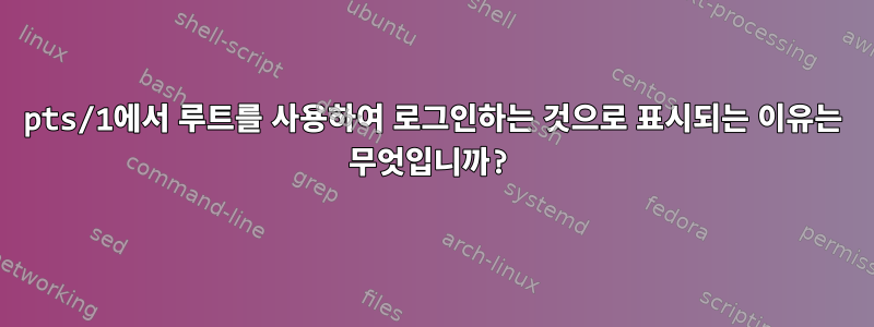 pts/1에서 루트를 사용하여 로그인하는 것으로 표시되는 이유는 무엇입니까?