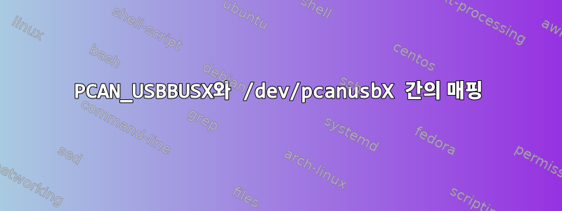 PCAN_USBBUSX와 /dev/pcanusbX 간의 매핑