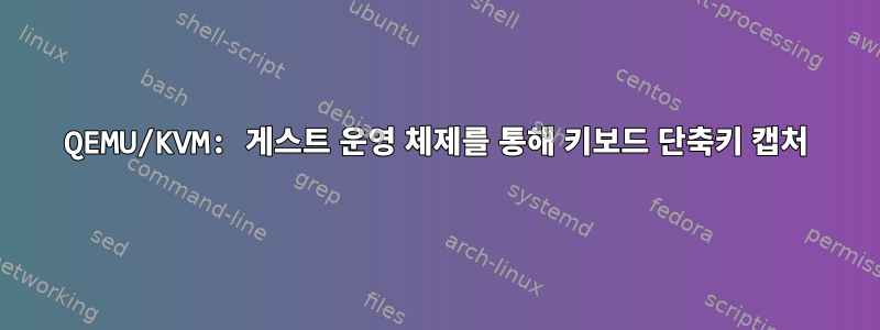 QEMU/KVM: 게스트 운영 체제를 통해 키보드 단축키 캡처