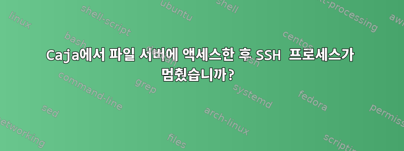 Caja에서 파일 서버에 액세스한 후 SSH 프로세스가 멈췄습니까?