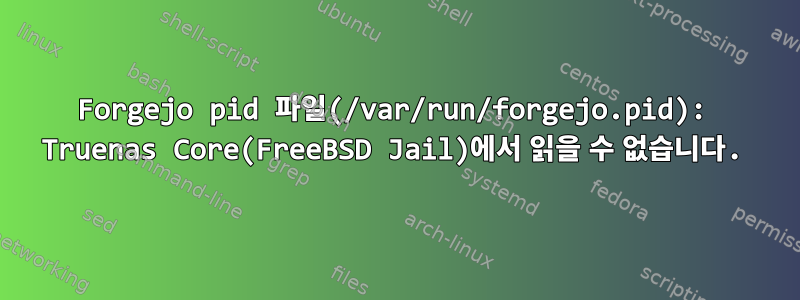 Forgejo pid 파일(/var/run/forgejo.pid): Truenas Core(FreeBSD Jail)에서 읽을 수 없습니다.