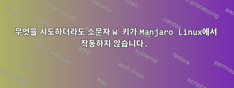 무엇을 시도하더라도 소문자 W 키가 Manjaro Linux에서 작동하지 않습니다.