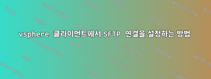 vsphere 클라이언트에서 SFTP 연결을 설정하는 방법