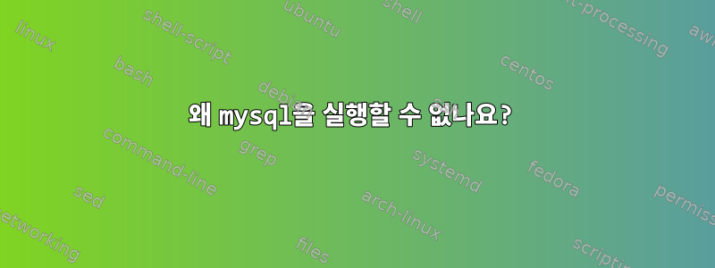 왜 mysql을 실행할 수 없나요?