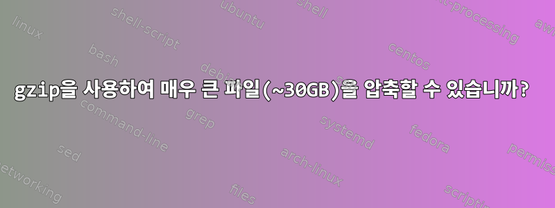 gzip을 사용하여 매우 큰 파일(~30GB)을 압축할 수 있습니까?