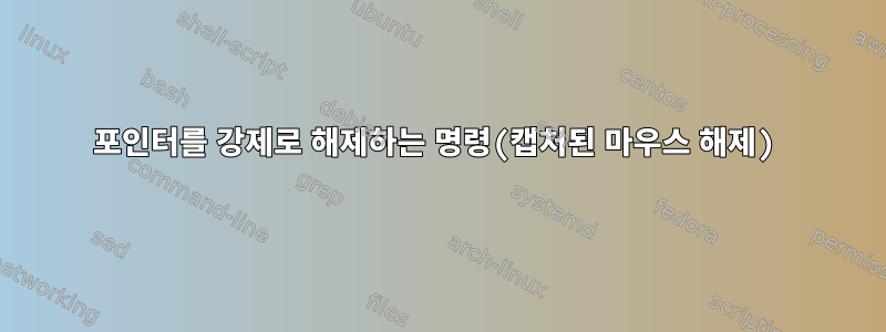 포인터를 강제로 해제하는 명령(캡처된 마우스 해제)