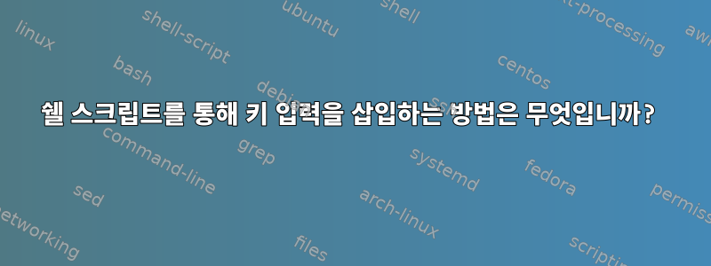 쉘 스크립트를 통해 키 입력을 삽입하는 방법은 무엇입니까?