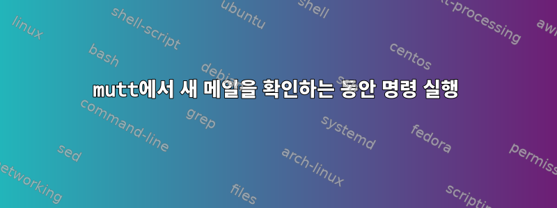 mutt에서 새 메일을 확인하는 동안 명령 실행