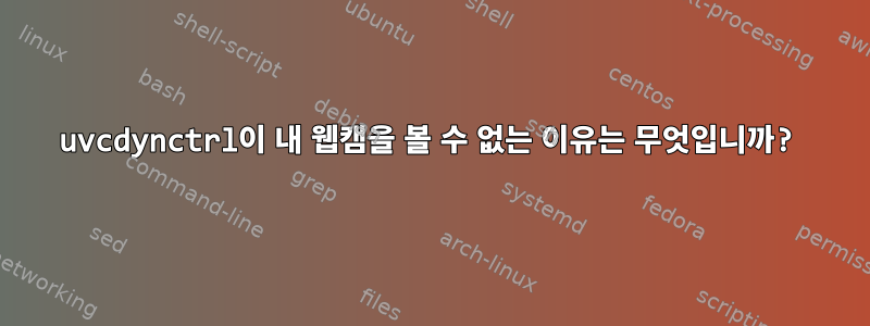 uvcdynctrl이 내 웹캠을 볼 수 없는 이유는 무엇입니까?