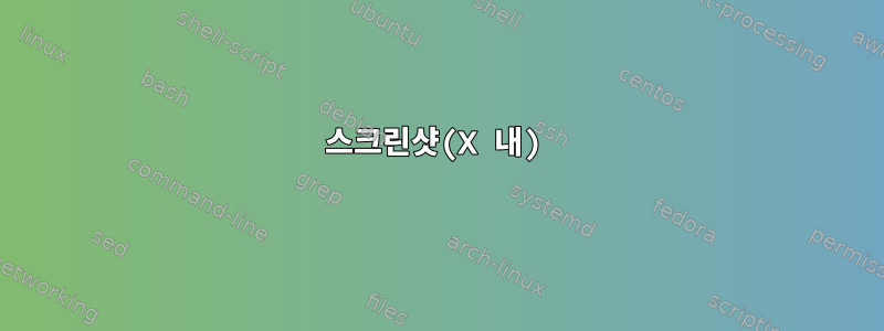 스크린샷(X 내)