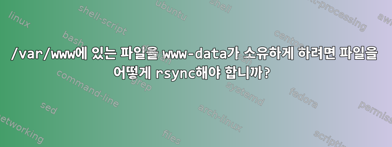 /var/www에 있는 파일을 www-data가 소유하게 하려면 파일을 어떻게 rsync해야 합니까?