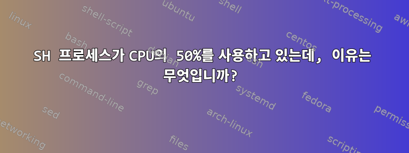 SH 프로세스가 CPU의 50%를 사용하고 있는데, 이유는 무엇입니까?