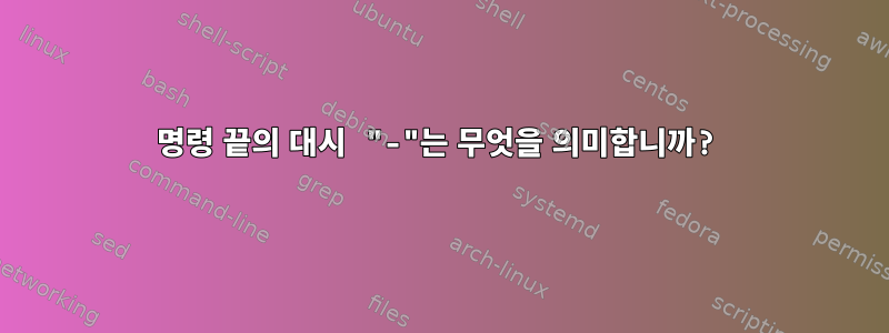 명령 끝의 대시 "-"는 무엇을 의미합니까?