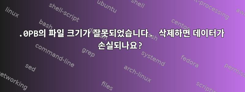 60.0PB의 파일 크기가 잘못되었습니다. 삭제하면 데이터가 손실되나요?