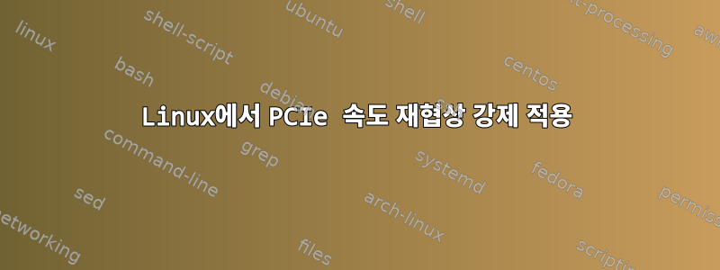 Linux에서 PCIe 속도 재협상 강제 적용