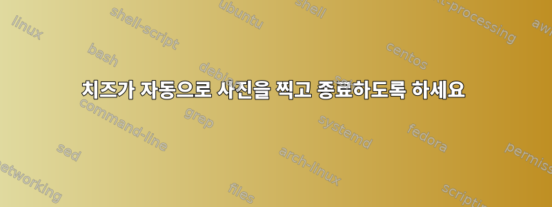 치즈가 자동으로 사진을 찍고 종료하도록 하세요