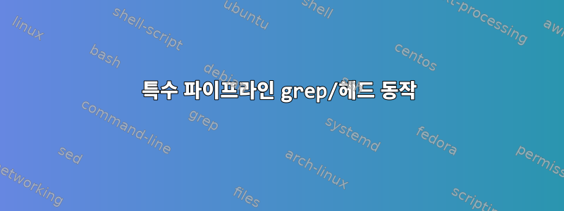 특수 파이프라인 grep/헤드 동작