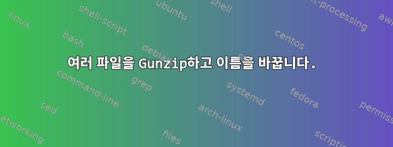 여러 파일을 Gunzip하고 이름을 바꿉니다.