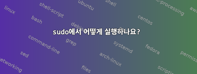 sudo에서 어떻게 실행하나요?