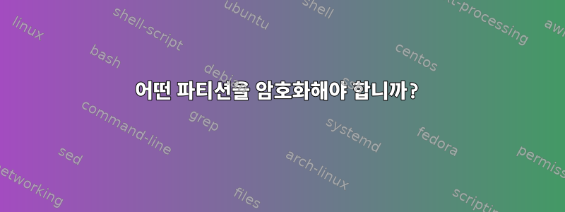 어떤 파티션을 암호화해야 합니까?