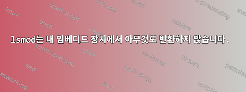 lsmod는 내 임베디드 장치에서 아무것도 반환하지 않습니다.