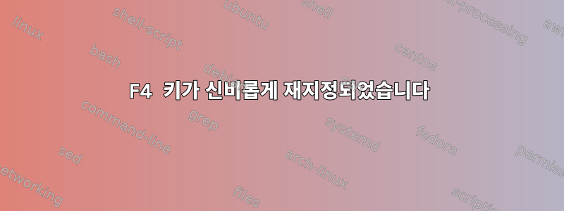 F4 키가 신비롭게 재지정되었습니다