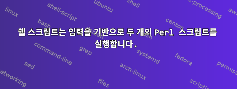 쉘 스크립트는 입력을 기반으로 두 개의 Perl 스크립트를 실행합니다.