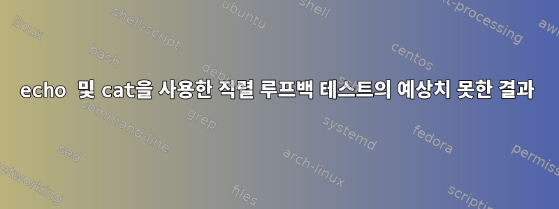 echo 및 cat을 사용한 직렬 루프백 테스트의 예상치 못한 결과