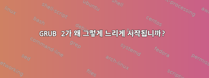 GRUB 2가 왜 그렇게 느리게 시작됩니까?