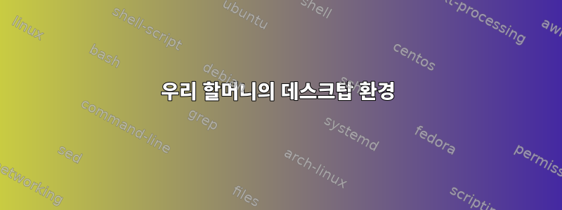 우리 할머니의 데스크탑 환경