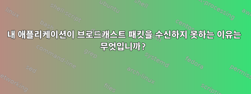 내 애플리케이션이 브로드캐스트 패킷을 수신하지 못하는 이유는 무엇입니까?