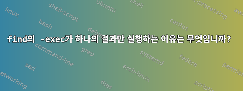 find의 -exec가 하나의 결과만 실행하는 이유는 무엇입니까?