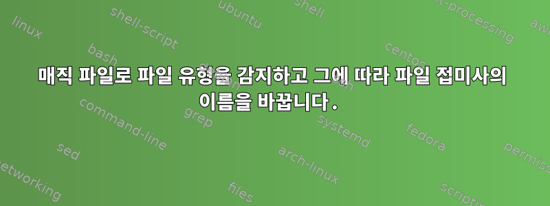 매직 파일로 파일 유형을 감지하고 그에 따라 파일 접미사의 이름을 바꿉니다.