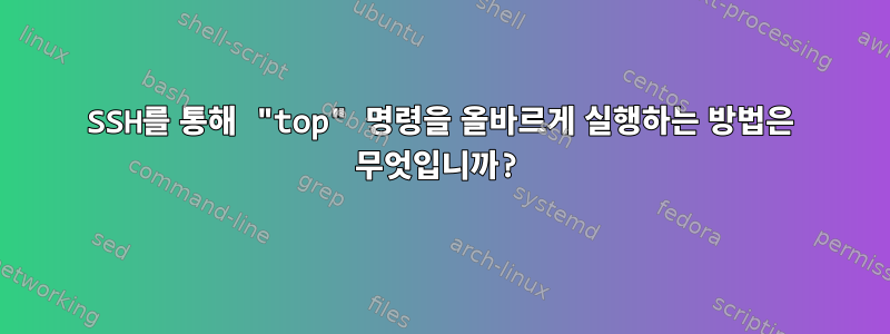 SSH를 통해 "top" 명령을 올바르게 실행하는 방법은 무엇입니까?