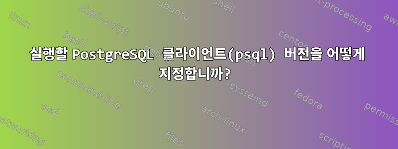 실행할 PostgreSQL 클라이언트(psql) 버전을 어떻게 지정합니까?