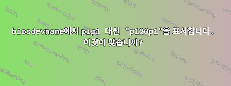 biosdevname에서 p1p1 대신 "p120p1"을 표시합니다. 이것이 맞습니까?