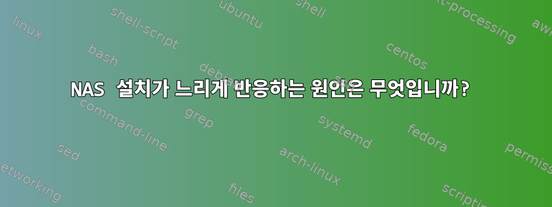 NAS 설치가 느리게 반응하는 원인은 무엇입니까?