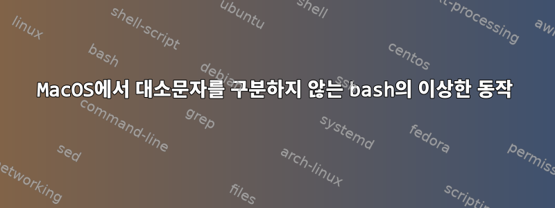 MacOS에서 대소문자를 구분하지 않는 bash의 이상한 동작