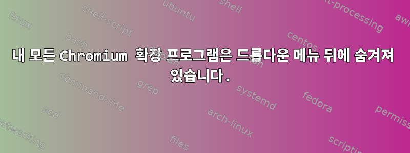 내 모든 Chromium 확장 프로그램은 드롭다운 메뉴 뒤에 숨겨져 있습니다.