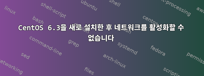 CentOS 6.3을 새로 설치한 후 네트워크를 활성화할 수 없습니다