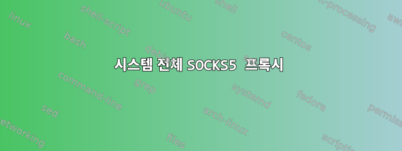 시스템 전체 SOCKS5 프록시